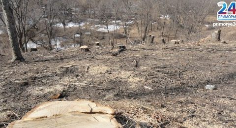 lb1332731890dsc02115