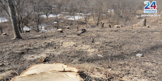 lb1332731890dsc02115