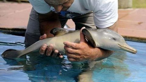 92180378_2017616_getImage