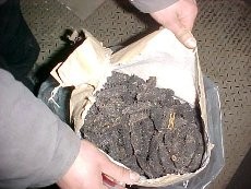 ca3da75d17ab6dccd4960b08638f5cf9_big