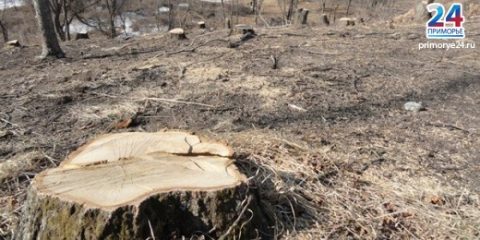 lb1332302484dsc02115