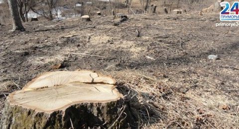 lb1332302484dsc02115