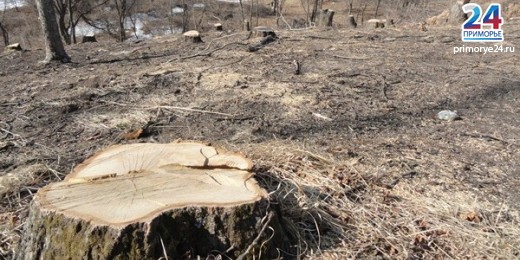 lb1332302484dsc02115