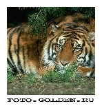 d65d12d3c46ececbce5bf7c529e2cc82_128