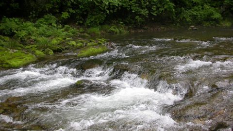 River Kedrovaya_5860250