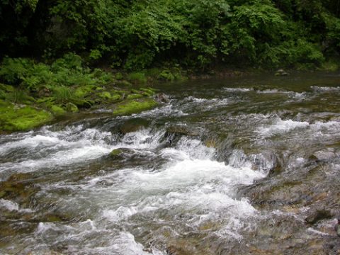 River Kedrovaya_5860250