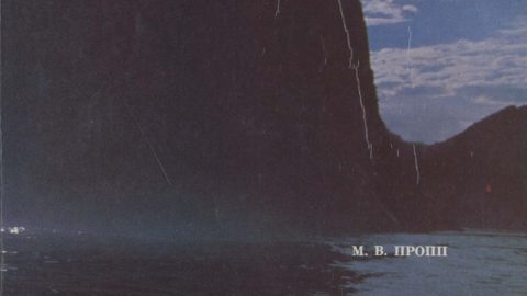 Пропп М.В. В глубинах пяти океанов. Ленинград, 1991.