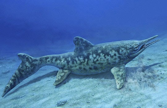 Ихтиозавр Phalarodon. Фото с сайта http://old.archeo-news.ru/