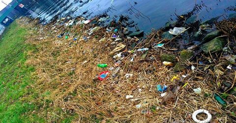 15364960-R3L8T8D-650-zz