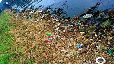 15364960-R3L8T8D-650-zz