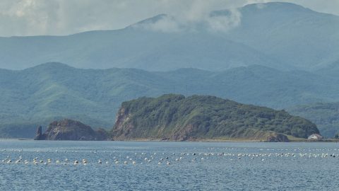 Преображенье