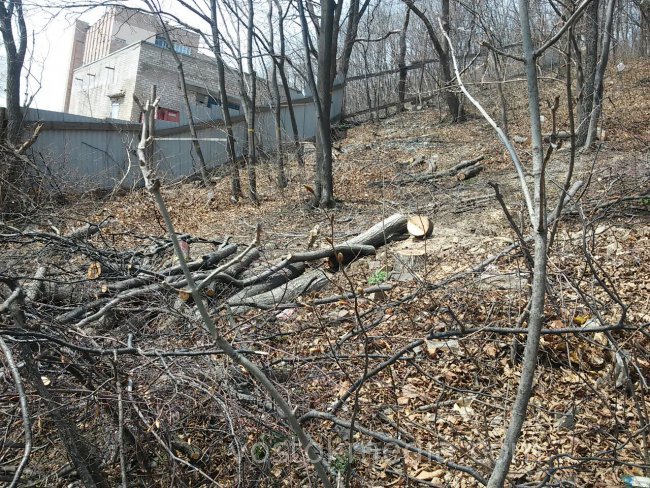 0_22984100_1461322737_l