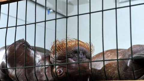 4saa3dd4erk9minj1qy93izdy0ptvqpp