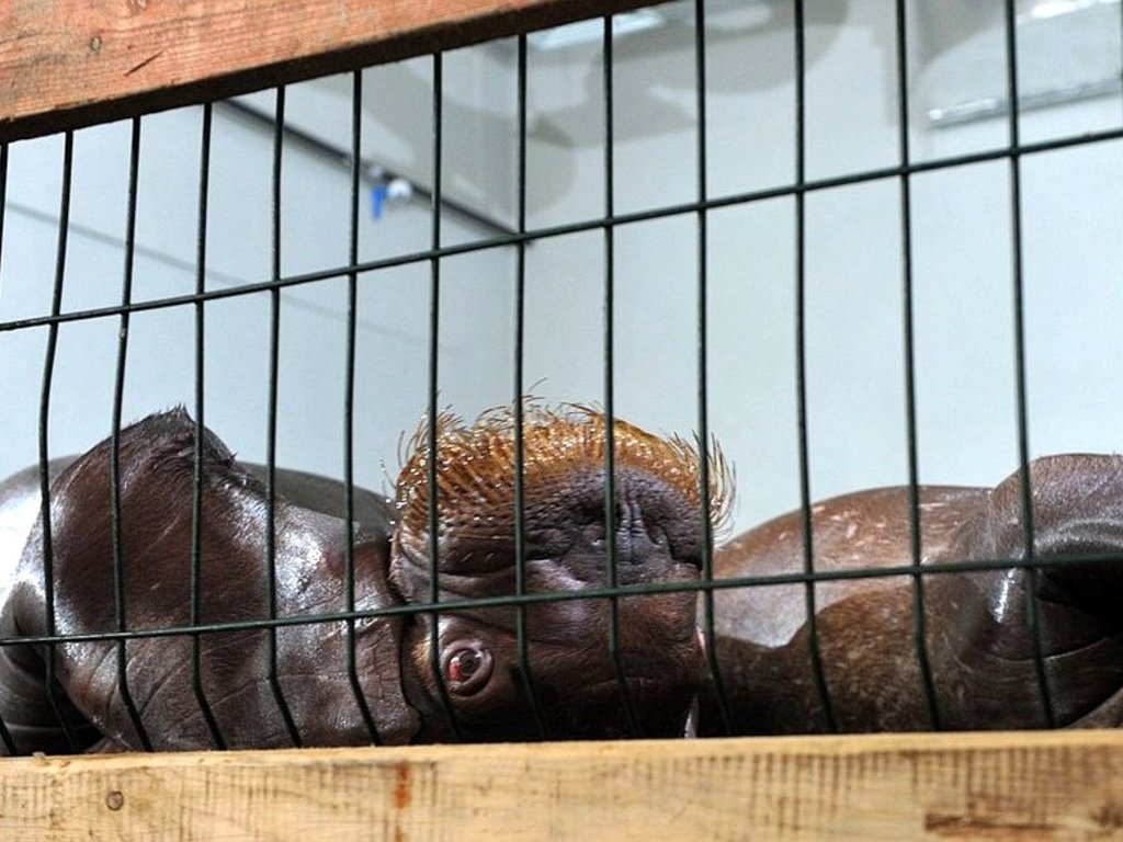 4saa3dd4erk9minj1qy93izdy0ptvqpp