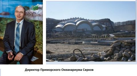 Serkov+Okeanarium