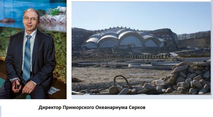 Serkov+Okeanarium