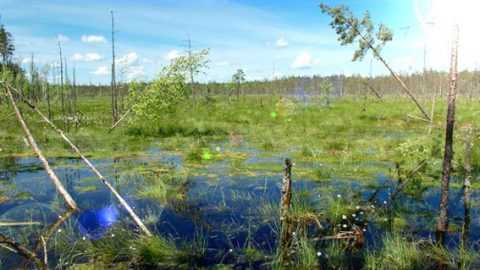 белоруссии 1