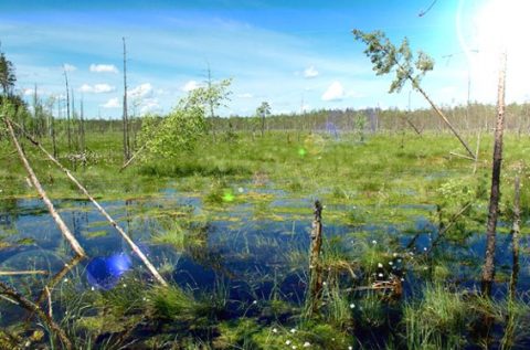 белоруссии 1