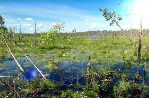 белоруссии 1