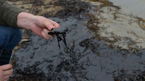 c12b76a0ef2c72e9aeefd45870c0eb6e