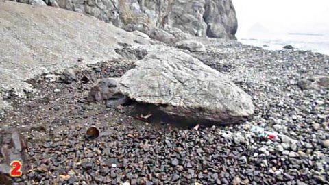 Пятно нефти