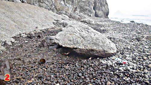 Пятно нефти