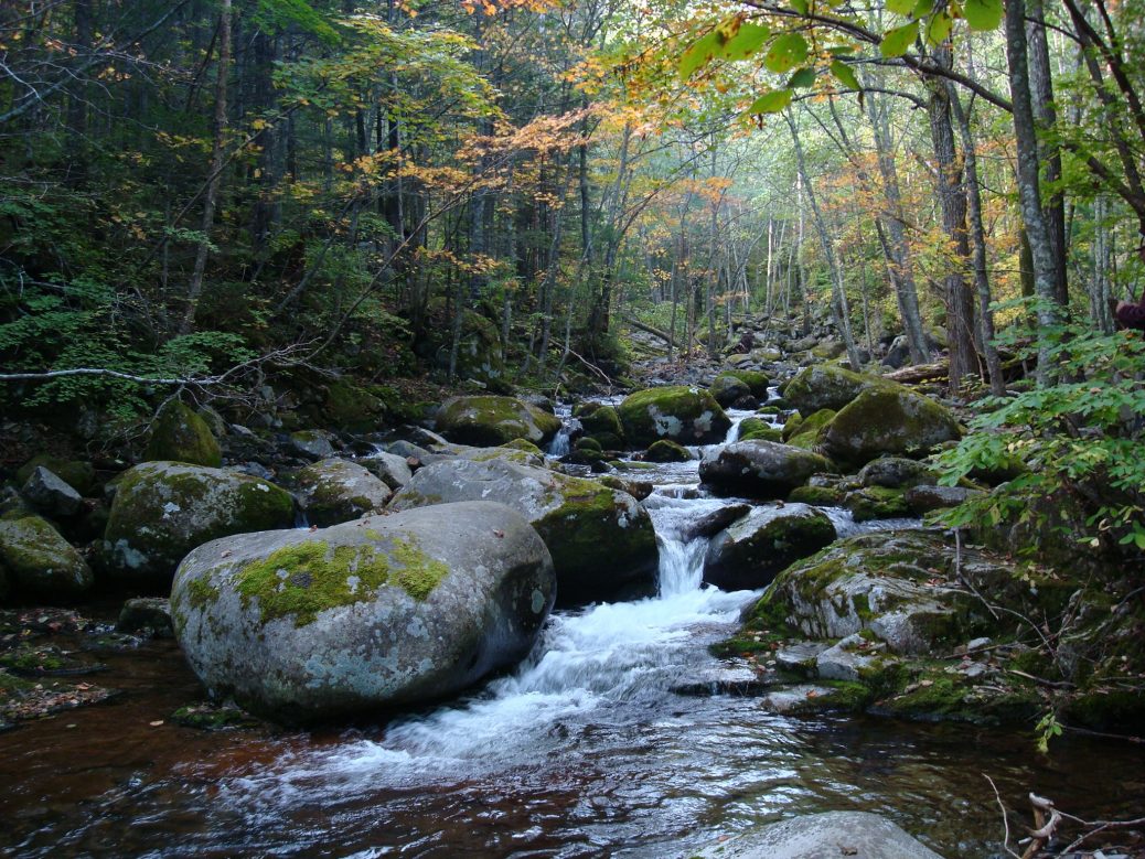 Шкотовский район