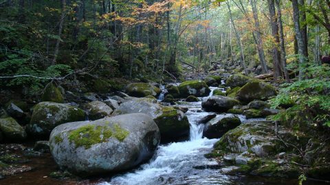 Шкотовский район