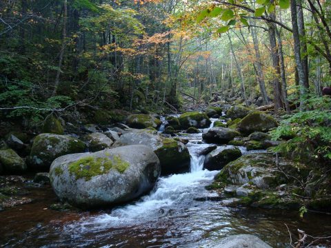 Шкотовский район