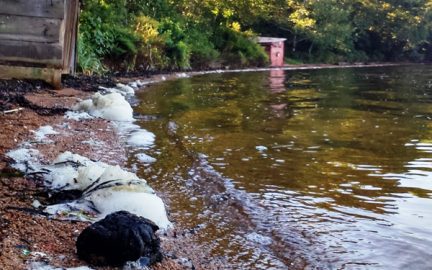 83d43059529a737bee45bed1d2a90e81