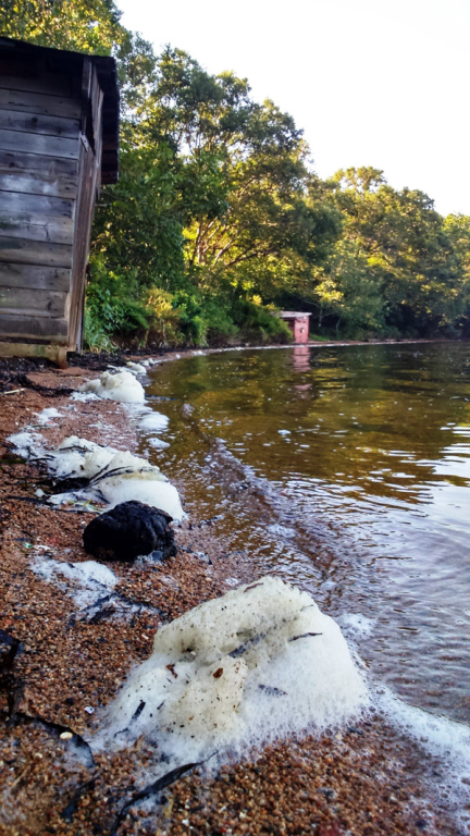 83d43059529a737bee45bed1d2a90e81