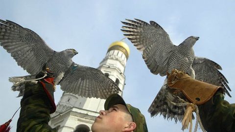 KMO_064010_01211_1_t222_230628