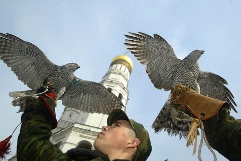 KMO_064010_01211_1_t222_230628