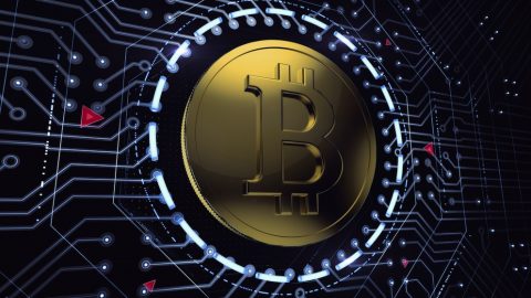 Bitcoin-security-bust