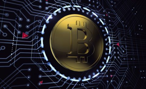 Bitcoin-security-bust