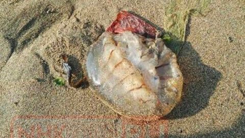 640_bbd1ff0e92b6bb4fc472cd87e219ac47