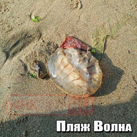 640_bbd1ff0e92b6bb4fc472cd87e219ac47