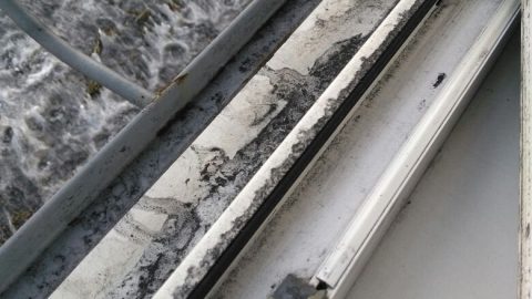 1513823800_img-20171220-wa0044