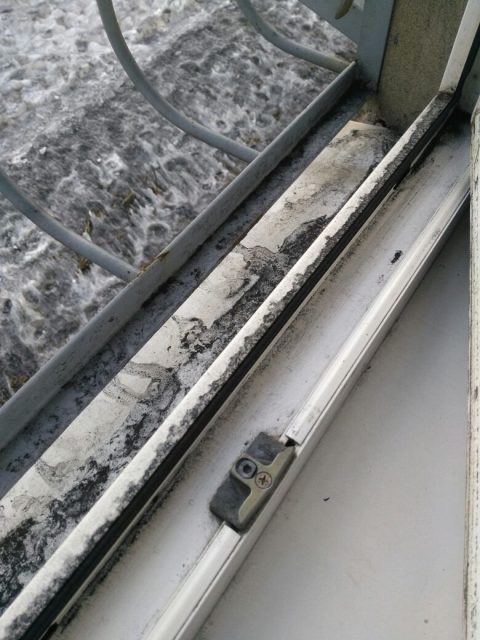 1513823800_img-20171220-wa0044