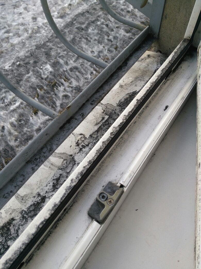 1513823800_img-20171220-wa0044