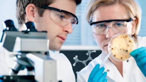 641b241b45fb2fd78ad2165f3969dde0