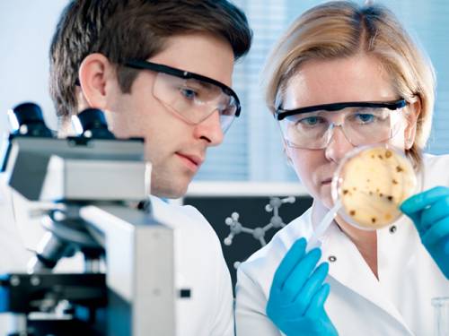 641b241b45fb2fd78ad2165f3969dde0