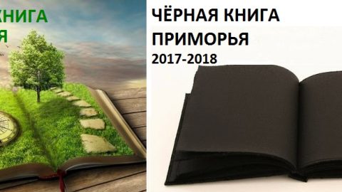 и Ч книги_2017-2018
