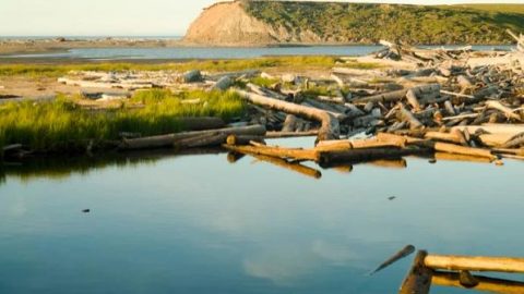 content_47__econet_ru 2