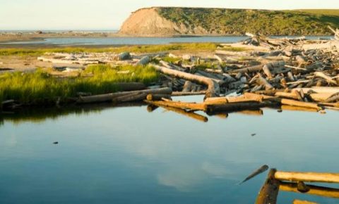 content_47__econet_ru 2