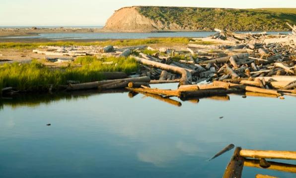 content_47__econet_ru 2