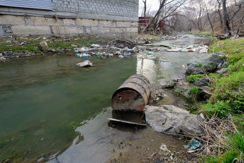 DSC_1659_mini_Евг Кроликов_2