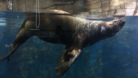 5a7f4ace-bd80-460a-a907-361a1034467e