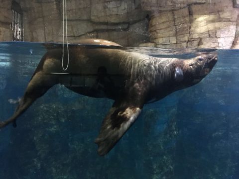 5a7f4ace-bd80-460a-a907-361a1034467e