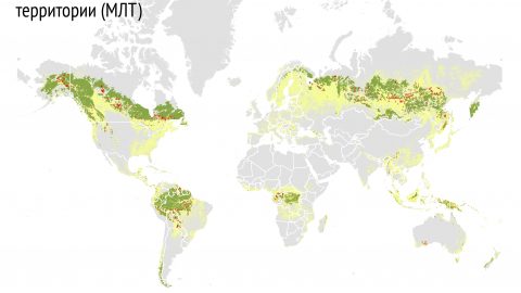 IFL_2017_infographic_rus